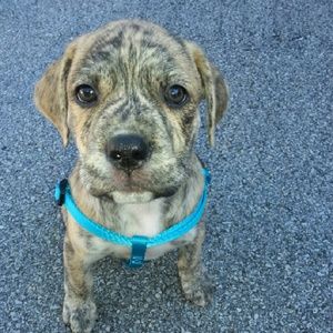 Meet your Posher, Tamara