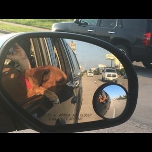 Meet your Posher, Jeannine