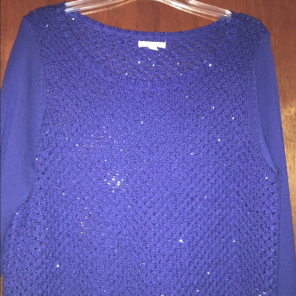 Blue sparkly sweater with tang top