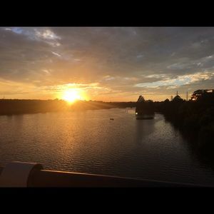 Meet your Posher, Darla