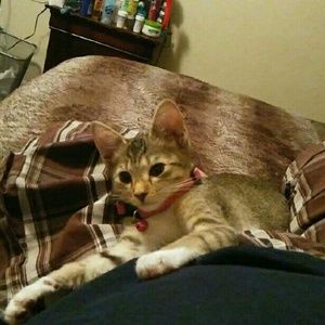 Meet your Posher, Celia