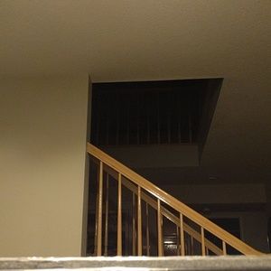 Meet your Posher, Dan