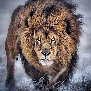 Meet your Posher, Kenyon