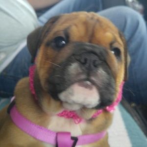 Meet your Posher, Vikki