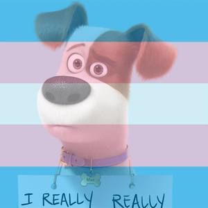 Meet your Posher, Pamela