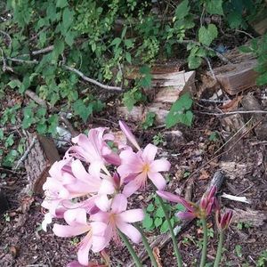 Meet your Posher, Patty