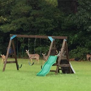 Meet your Posher, Beth