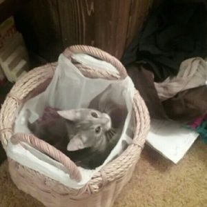 Meet your Posher, Mary