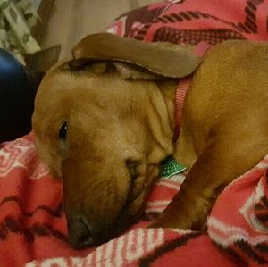 Meet your Posher, Kris