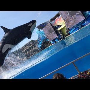 Meet your Posher, Naiomi