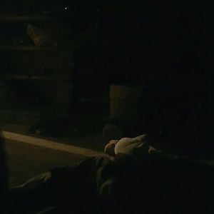 Meet your Posher, Steven