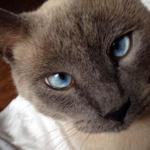 Meet your Posher, Carla