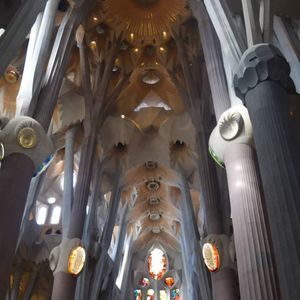 Meet your Posher, Shawn