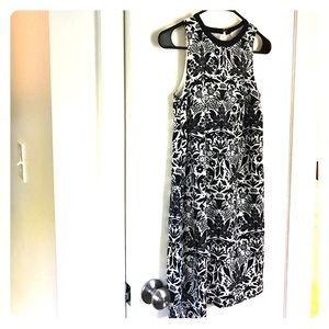 LOFT navy and white printed floral dress