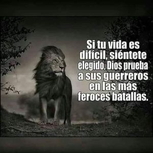 Meet your Posher, Cesar