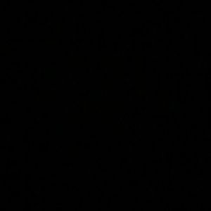 Meet your Posher, Ericka