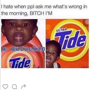 Meet your Posher, Ollie