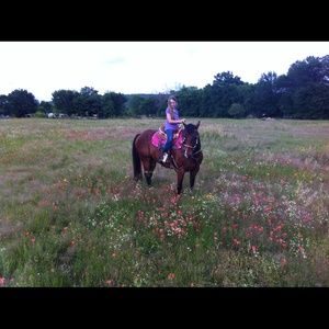 Meet your Posher, Haley