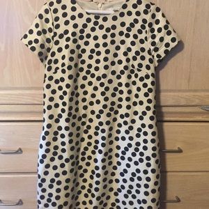 A line J. Crew polka dot dress