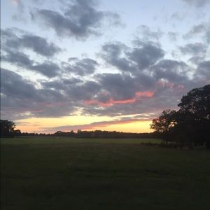 Meet your Posher, Stacey