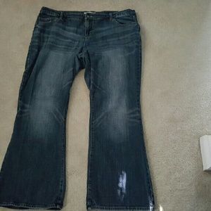 Maurices Briana Flare plus size jeans