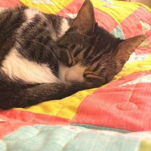 Meet your Posher, Kim