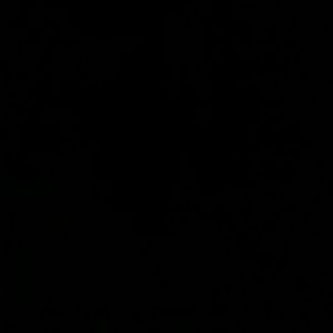 Meet your Posher, Pablo