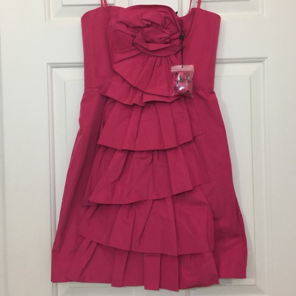 Never been worn BCBG Size 2 Dress