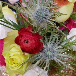 Meet your Posher, Maya