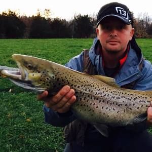 Meet your Posher, Marcin