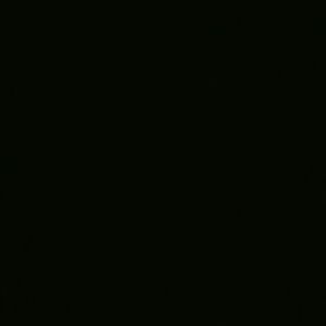 Meet your Posher, Troy