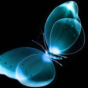 Meet your Posher, Elda