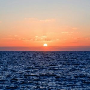 Meet your Posher, Tricia