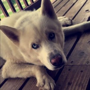 Meet your Posher, Kelsey