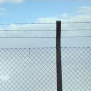 Meet your Posher, Robyn