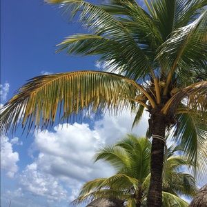 Meet your Posher, Aimee