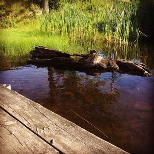 Meet your Posher, Jacob