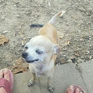 Meet your Posher, Cathy