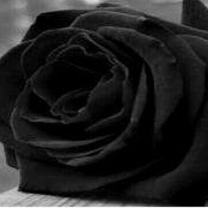 Meet your Posher, Daniela