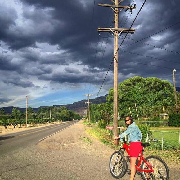 Meet your Posher, Sara - Picture 1 of 1