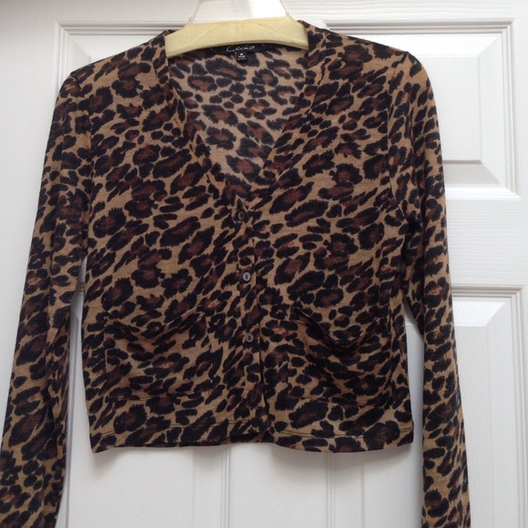 Animal Print V-Neck Sweater