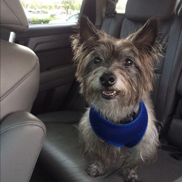 Meet your Posher, Shannon - Picture 2 of 3