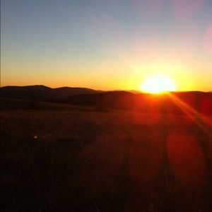 Meet your Posher, Bee