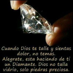 Meet your Posher, Rose