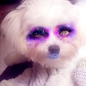 Meet your Posher, Marina