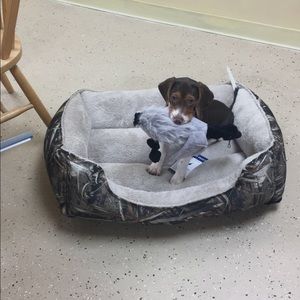 Meet your Posher, Kenneth