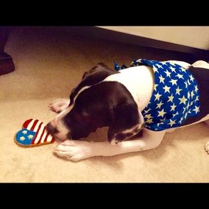 Meet your Posher, Yoalis