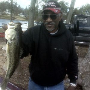 Meet your Posher, Leo