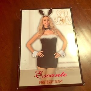 Sexy bunny/Playboy bunny Halloween costume