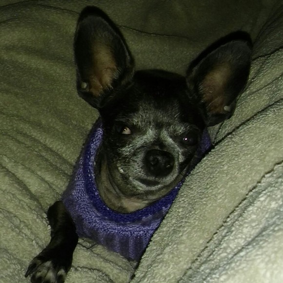 Meet your Posher, Ines - Picture 1 of 1